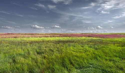 3934 Back to Basic Values