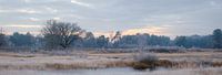Frozen pond by Johan Vanbockryck thumbnail