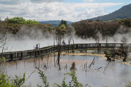 Kuirau Park Rotorua Nieuw Zeeland