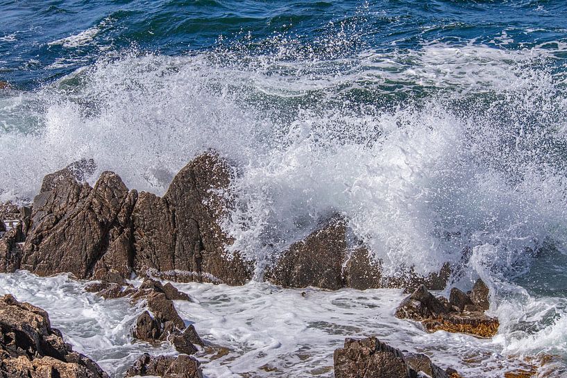 Wasserwelt von Yanuschka | Fotografie Noordwijk