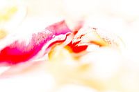 Farben und Formen