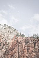 Red mountains in Zion NP