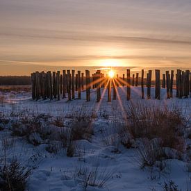 The Magic Hour van Marc Glaudemans