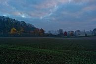 autumn morning Pietersberg by Jo Beerens thumbnail