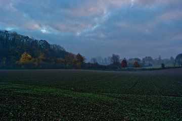 Herbstmorgen Pietersberg von Jo Beerens
