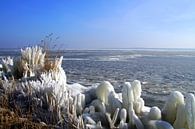 Ijs bij de Nederlandse kust- winterweer. van Jarretera Photos thumbnail