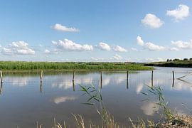 De beaux Pays-Bas