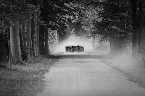 Visite de l'Achterhoek - Coupe de Hollande