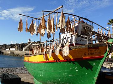 Vissersboot op Madeira