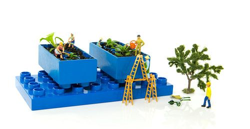 Miniaturen im Gemüsegarten