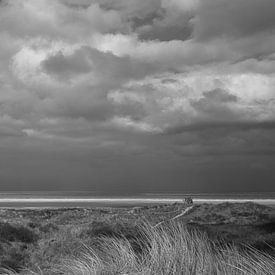 schiermonnikoog 2 sur Fokko Westerhof