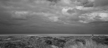 schiermonnikoog 2 von Fokko Westerhof