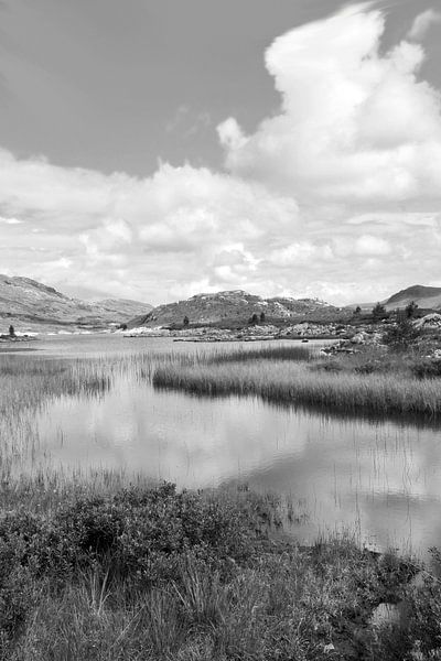 Nature painting by Annick Cornu