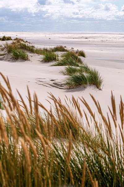 Dunes by Thomas Heitz