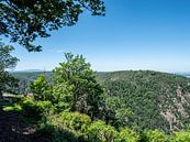 Blick über den Nationalpark Harz im Sommer von Animaflora PicsStock Miniaturansicht