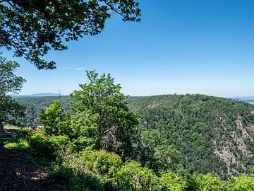 Blick über den Nationalpark Harz im Sommer von Animaflora PicsStock