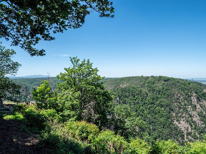 Blick über den Nationalpark Harz im Sommer von Animaflora PicsStock