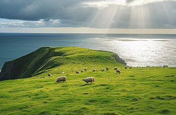 Randonnée sur la côte néo-zélandaise sur fernlichtsicht