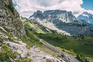 Sommerliche Alpenlandschaft von Patrycja Polechonska