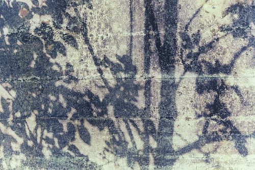 Old walls, new stories