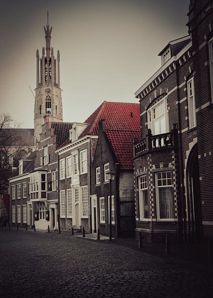 Zicht op de  Sint. Willibrordusbasiliek in Hulst. van Saskia Strack