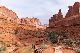 Park Avenue im Arches-Nationalpark, Utah von PhotoCluster