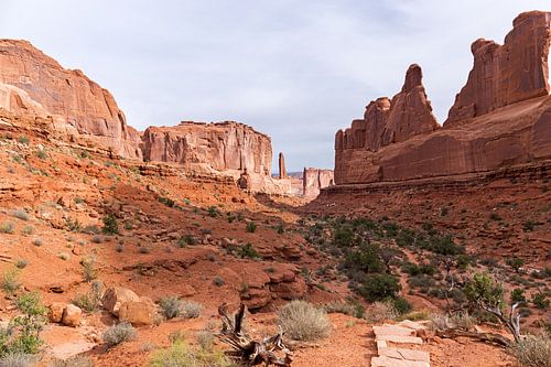 Park Avenue in Arches Nationa Park, Utah