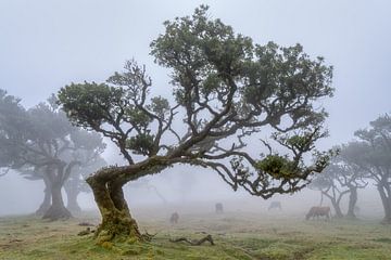 We're not broken just bent... von Peter Korevaar