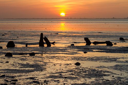 Bijna ten onder op het Wad