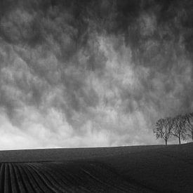 empty landscape sur Henk Speksnijder