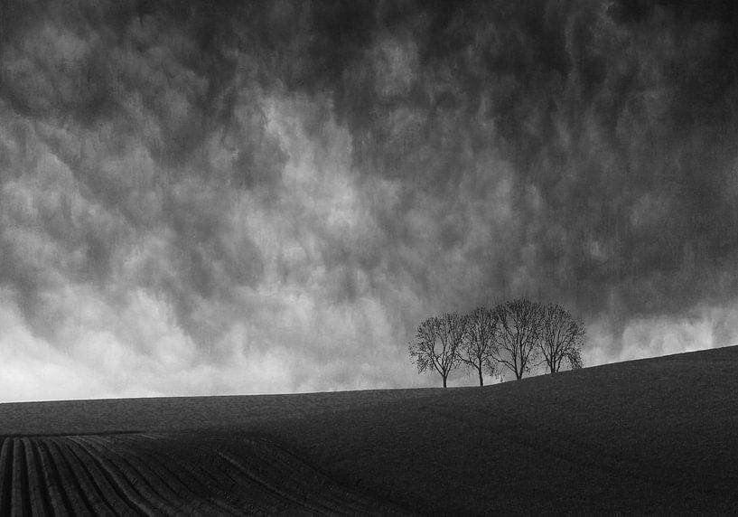 empty landscape von Henk Speksnijder