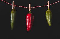 Dancing chillies red and green