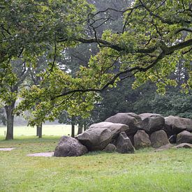 Hunebed bij Rolde, Drenthe van Rini Kools