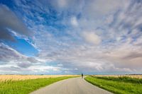 Cyclist on country road in Lauwersmeer area