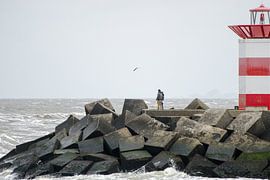 Scheveningen 19 by Hans Levendig (lev&dig fotografie)
