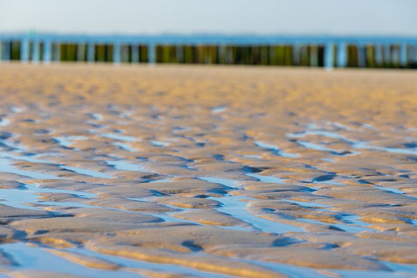 Ein menschenleerer Strand in Zoutelande mit einer Reihe von Wellenbrechern und der typischen Strands von Kim Willems