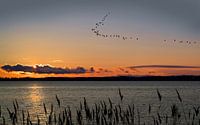 Insel Rügen