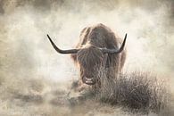Schotse hooglander fine art bewerking in de mist van KB Design & Photography (Karen Brouwer) thumbnail