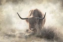Schottische Highlander-Kunst im Nebel
