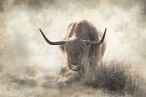 Schottische Highlander-Kunst im Nebel