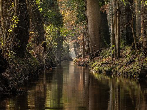 Ruisseau Staverdense sur Michiel Leegerstee