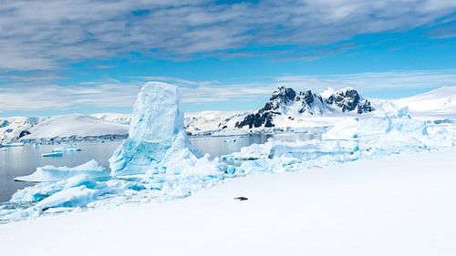 Paysage de neige en Antarctique