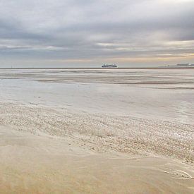 Waddenzee bij Texel van Henk Langerak