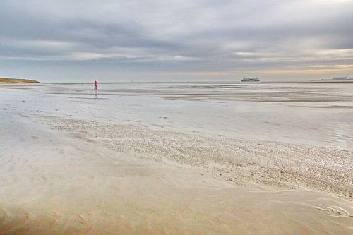 Waddenzee bij Texel
