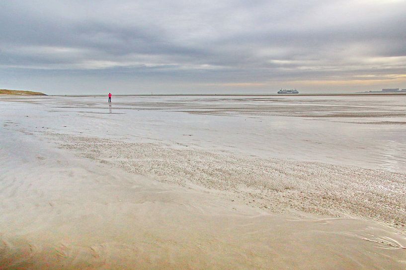 Waddenzee bij Texel van Henk Langerak
