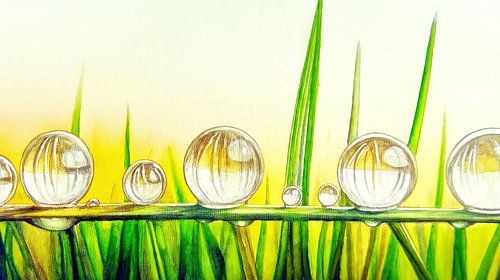 Glittering dewdrops in the spring light