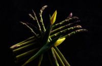 Blumenarrangement mit Tulpen und grünem Spargel