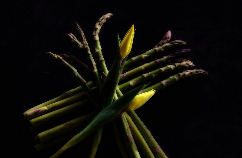 Flower arrangement with tulips and green asparagus by jacky weckx