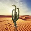 Digital Art slangen en cactus "Snactus" van Martijn Schrijver