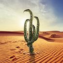 Snakes and Cactus surreal wall art  by Martijn Schrijver thumbnail